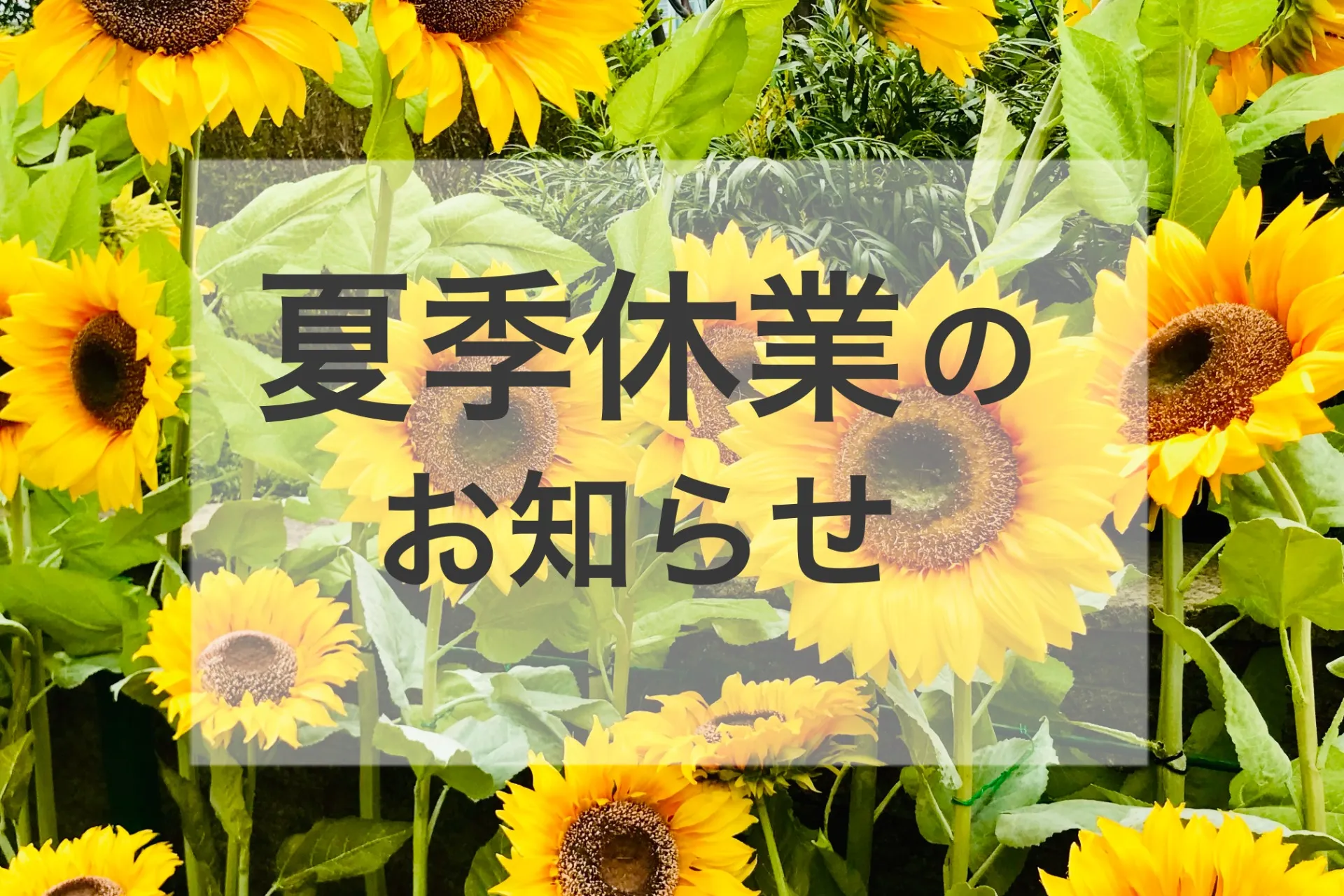 夏季休業のお知らせ
